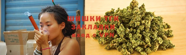 бошки Аркадак