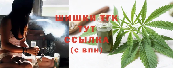 ешки Арсеньев