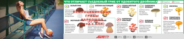 сатива Армянск