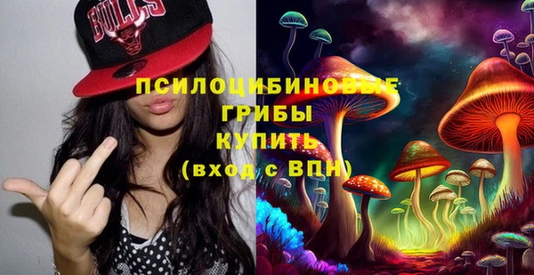 бошки Аркадак