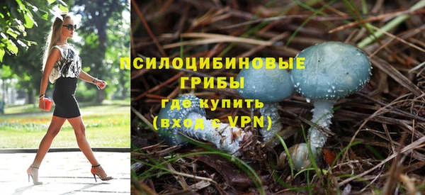 ECSTASY Пестово