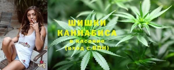 бошки Аркадак