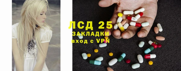 сатива Армянск