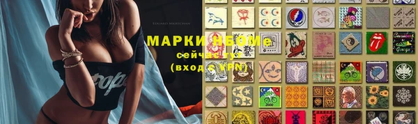 сатива Армянск